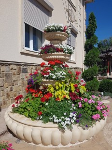 20190829_104426