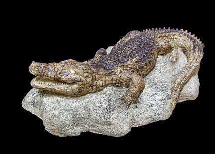 S0061